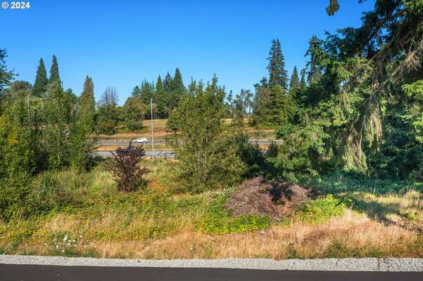 1738 S Timm Rd, Ridgefield, WA 98642