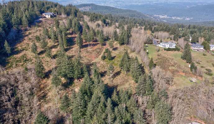 NE 298th Ct, Camas, WA 98607