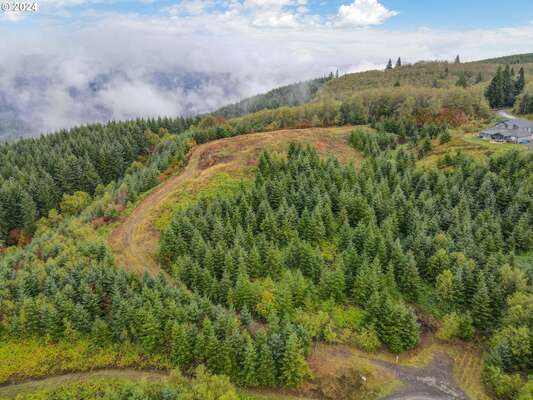  Lot 6 Garnet Rd, Kalama, WA 98625