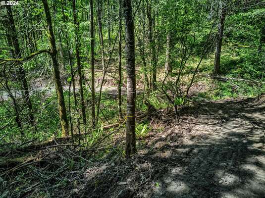  Sprague Landing Road  #Lot 2, Stevenson, WA 98648