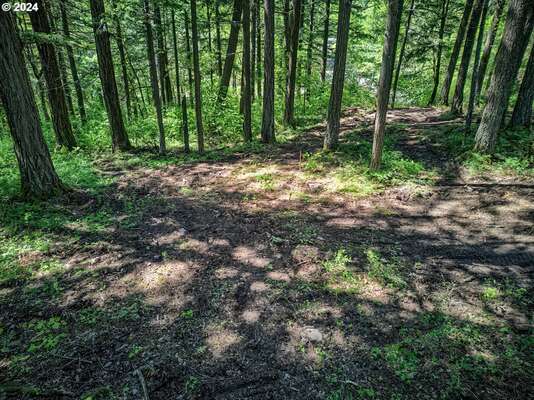  Sprague Landing Road  #Lot 2, Stevenson, WA 98648