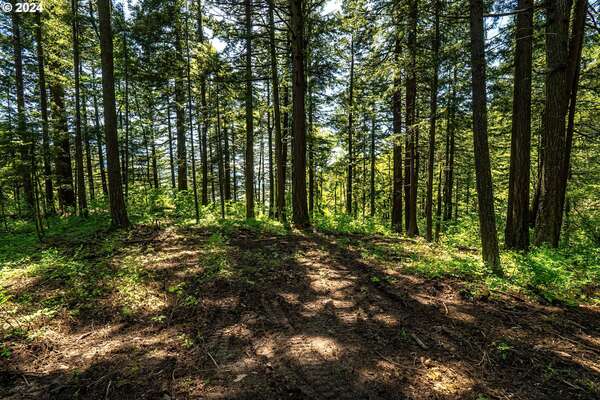  Sprague Landing Road  #Lot 2, Stevenson, WA 98648