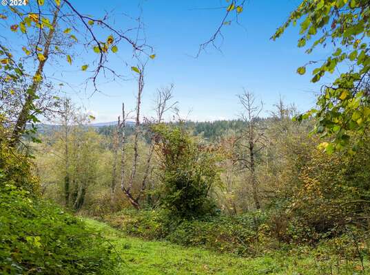 SE Washougal River Rd, Washougal, WA 98671