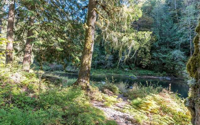 8475  Kalama River Rd, Kalama, WA 98625