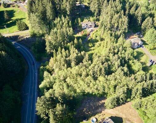  Green Mountain Rd, Woodland, WA 98674