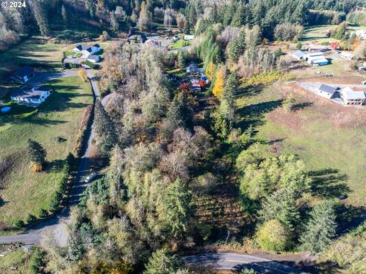 15010 NE 403rd St, Amboy, WA 98601