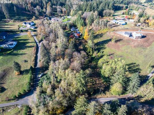 15010 NE 403rd St, Amboy, WA 98601