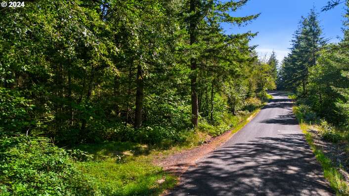  Archer Mountain Rd, Skamania, WA 98648