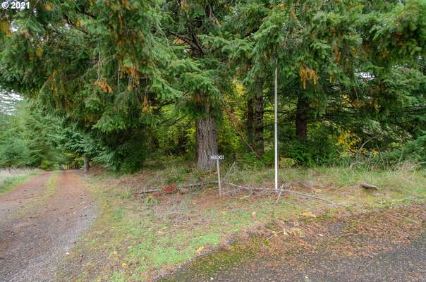 NE 45th St , Camas, WA 98607