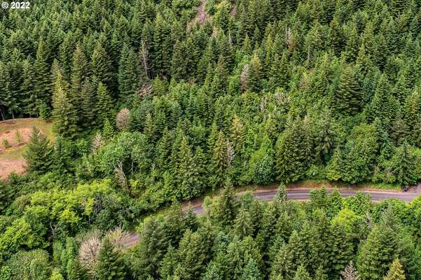  Archer Mountain Rd, Skamania, WA 98648