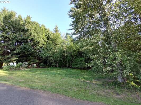 5819 NE 295th St, La Center, WA 98629