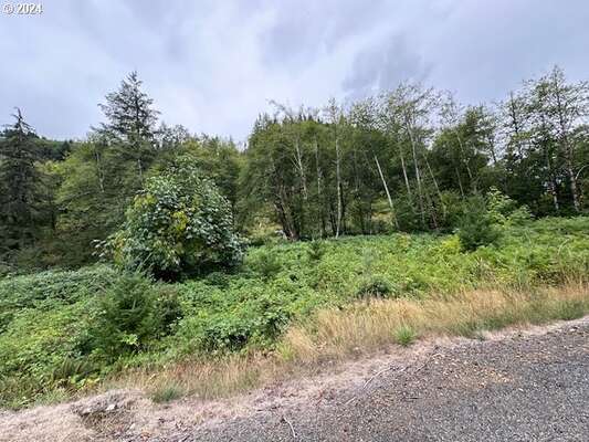 N Dubois Rd, Ariel, WA 98603