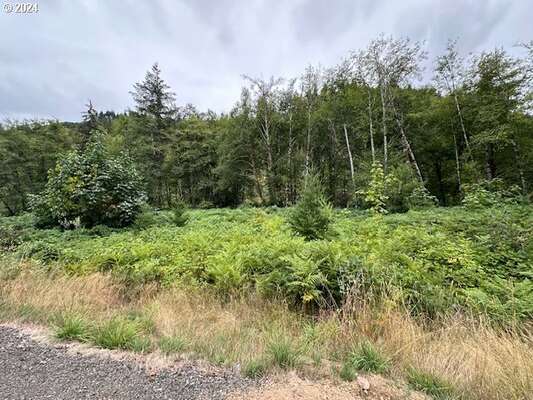 N Dubois Rd, Ariel, WA 98603