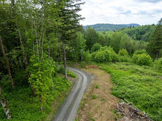  Mt Pleasant Rd #Tract 2, Washougal, WA 98671