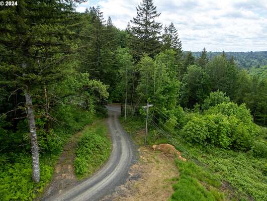  Mt Pleasant Rd #Tract 2, Washougal, WA 98671