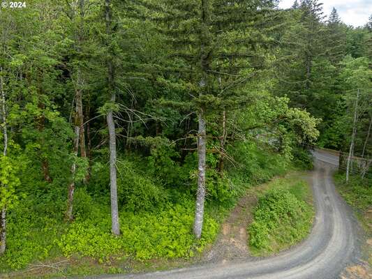  Mt Pleasant Rd #Tract 2, Washougal, WA 98671