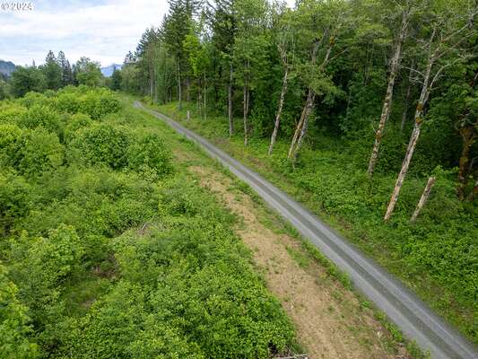  Mt Pleasant Rd #Tract 2, Washougal, WA 98671