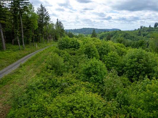  Mt Pleasant Rd #Tract 2, Washougal, WA 98671