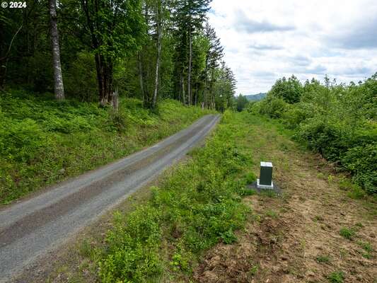  Mt Pleasant Rd #Tract 2, Washougal, WA 98671