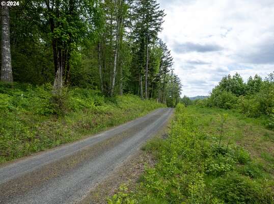  Mt Pleasant Rd #Tract 2, Washougal, WA 98671