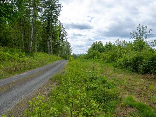  Mt Pleasant Rd #Tract 2, Washougal, WA 98671