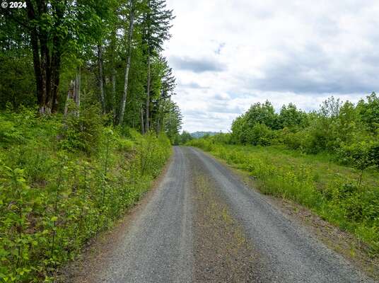  Mt Pleasant Rd #Tract 2, Washougal, WA 98671