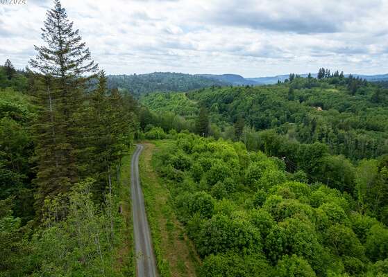  Mt Pleasant Rd #Tract 2, Washougal, WA 98671