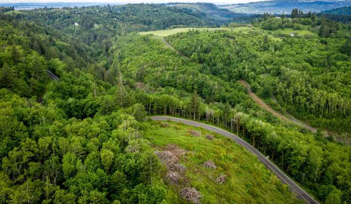  Mt Pleasant Rd #Tract 2, Washougal, WA 98671