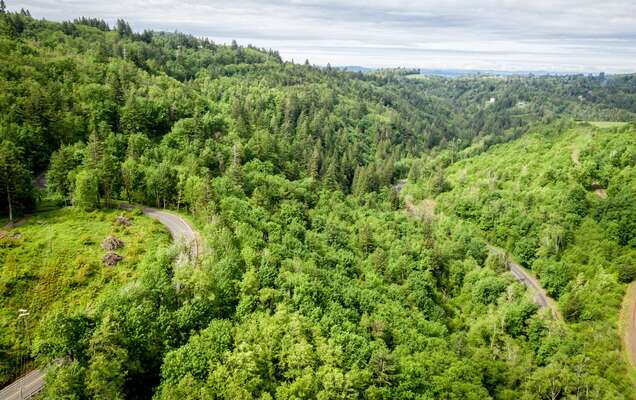  Mt Pleasant Rd #Tract 2, Washougal, WA 98671