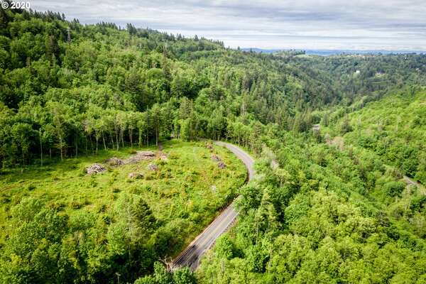  Mt Pleasant Rd #Tract 2, Washougal, WA 98671