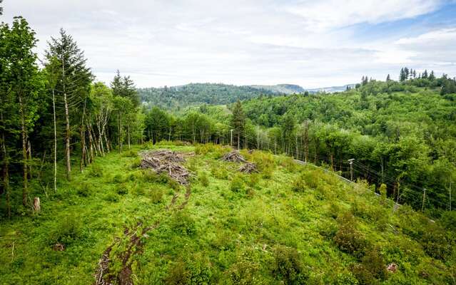  Mt Pleasant Rd #Tract 2, Washougal, WA 98671