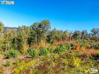  Mt Pleasant Rd #Tract 2, Washougal, WA 98671