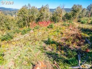  Mt Pleasant Rd #Tract 2, Washougal, WA 98671