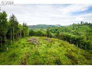  Mt Pleasant Rd #Tract 2, Washougal, WA 98671