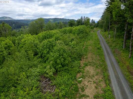  Mt Pleasant Rd #Tract 2, Washougal, WA 98671