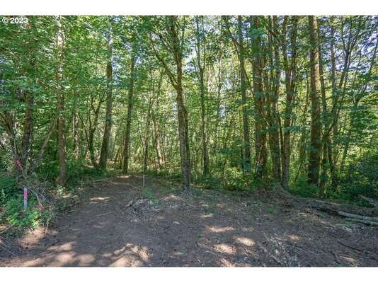 SE 20th St, Washougal, WA 98671