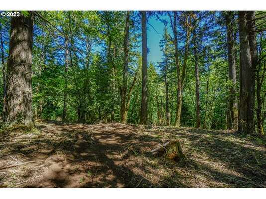 SE 20th St, Washougal, WA 98671