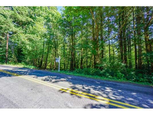 SE 20th St, Washougal, WA 98671