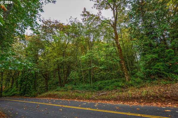  Niemi Rd, Longview, WA 98632