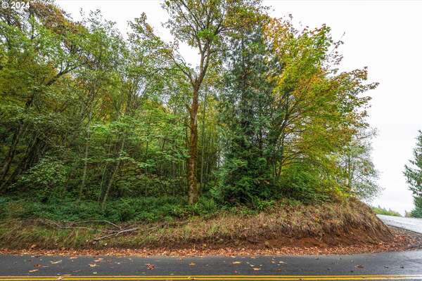  Niemi Rd, Longview, WA 98632