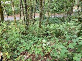  Niemi Rd, Longview, WA 98632