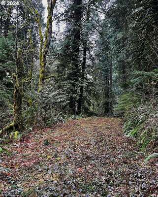  Wildlife Dr, Washougal, WA 98671