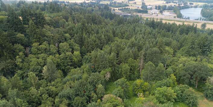  Vista Dr, Woodland, WA 98674