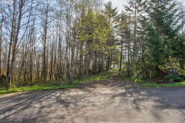 NE 298th Ct, Camas, WA 98607