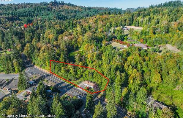 410  Coal Creek Rd, Longview, WA 98632