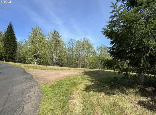 430  Runyan Rd, Woodland, WA 98674