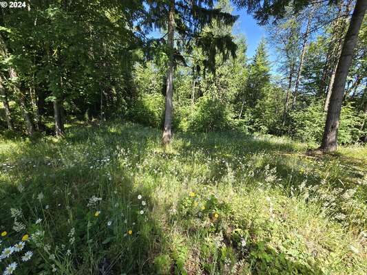  Olivia Ln #X, Kalama, WA 98625