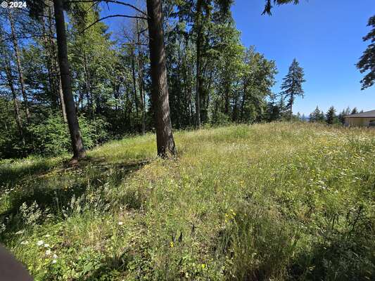  Olivia Ln #X, Kalama, WA 98625