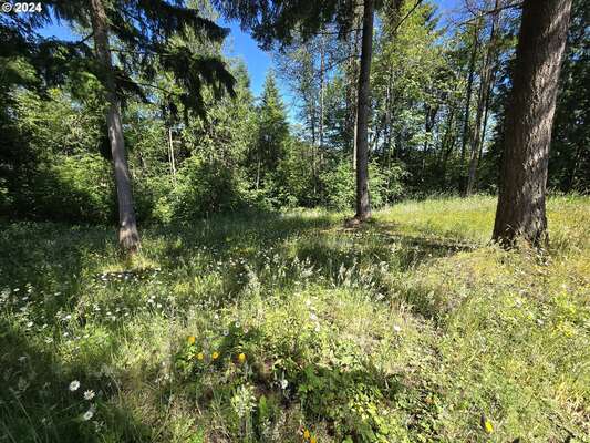  Olivia Ln #X, Kalama, WA 98625