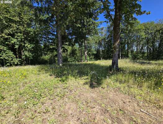  Olivia Ln #X, Kalama, WA 98625